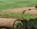 SOD Installation