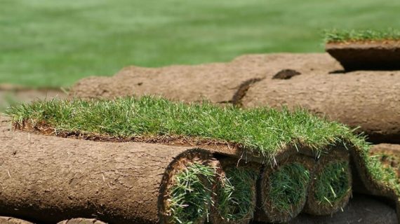 SOD Installation