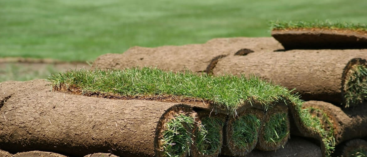 SOD Installation